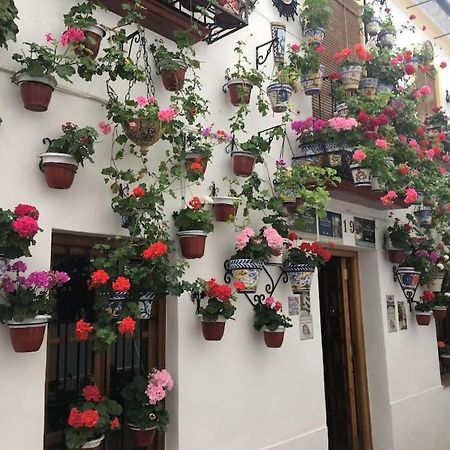 Apartamento El Rincon De La Verdad Кордова Екстер'єр фото